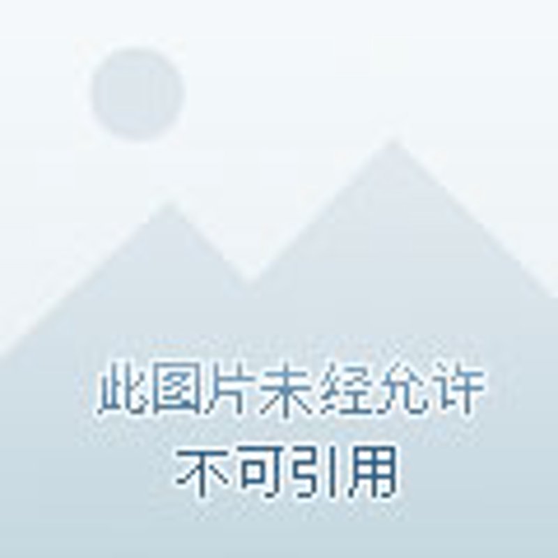 如何选购优质市场调研公司——一份实用指南